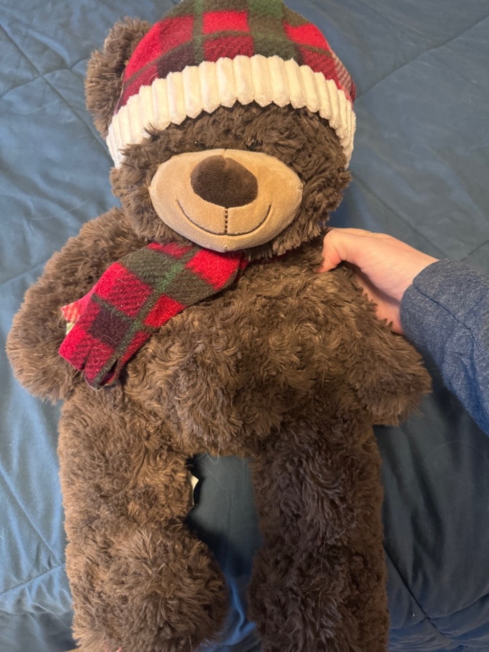 Plush Brown Teddy Bear with Red & Green Plaid Hat and Scarf - Kids Accessory
